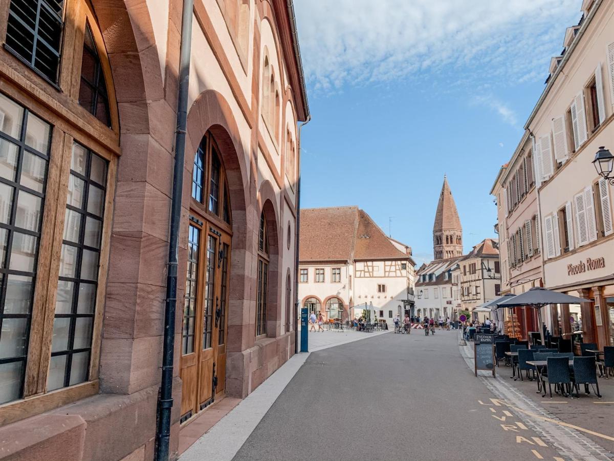 Le Nid Cosy - En Plein Coeur De Selestat Apartment Ngoại thất bức ảnh